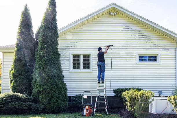 Animal Enclosure Cleaning in Hybla Valley, VA